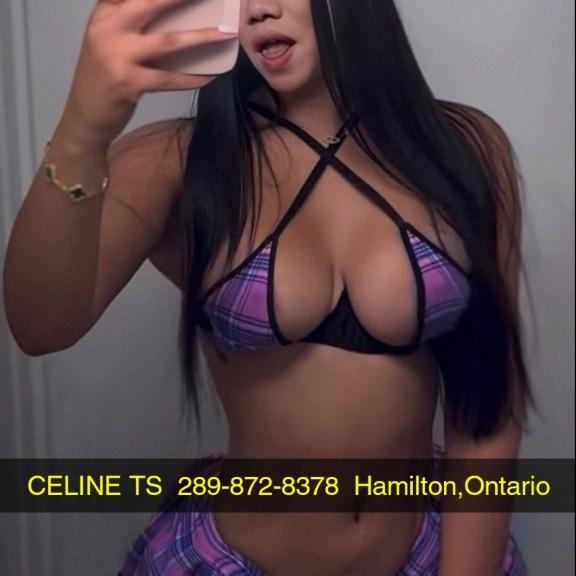  is Female Escorts. | Brantford | Ontario | Canada | AmorousHug