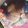  is Female Escorts. | Cleveland | Ohio | United States | AmorousHug