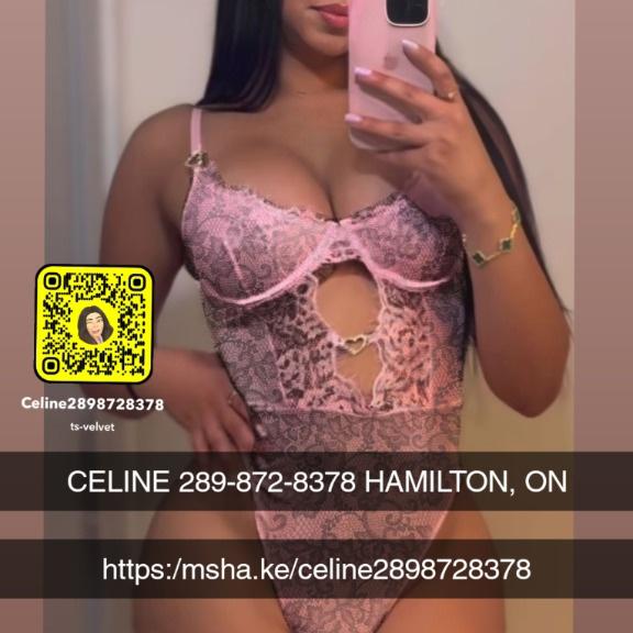  is Female Escorts. | Kitchener | Ontario | Canada | AmorousHug