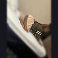  is Female Escorts. | Bridgeport | Connecticut | United States | AmorousHug