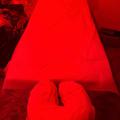  is Female Escorts. | Shreveport | Louisiana | United States | AmorousHug