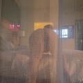  is Female Escorts. | Albany | New York | United States | AmorousHug