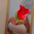  is Female Escorts. | Fort Worth | Texas | United States | AmorousHug