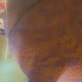  is Female Escorts. | Greensboro | North Carolina | United States | AmorousHug