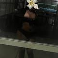  is Female Escorts. | San Mateo | California | United States | AmorousHug