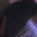  is Female Escorts. | Clarksville | Tennessee | United States | AmorousHug