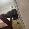  is Female Escorts. | Lancaster | California | United States | AmorousHug