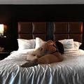  is Female Escorts. | Great Falls | Montana | United States | AmorousHug