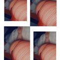  is Female Escorts. | Cookeville | Tennessee | United States | AmorousHug