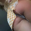  is Female Escorts. | Eau Claire | Wisconsin | United States | AmorousHug