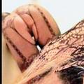  is Female Escorts. | Guelph | Ontario | Canada | AmorousHug