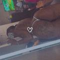  is Female Escorts. | Brockton | Massachusetts | United States | AmorousHug