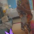  is Female Escorts. | Meridian | Mississippi | United States | AmorousHug