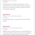  is Female Escorts. | Iowa City | Iowa | United States | AmorousHug