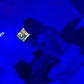  is Female Escorts. | Phoenix | Arizona | United States | AmorousHug
