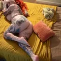  is Female Escorts. | Buffalo | New York | United States | AmorousHug