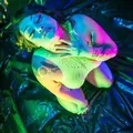 is Female Escorts. | Fort Smith | Arkansas | United States | AmorousHug