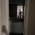  is Female Escorts. | Orlando | Florida | United States | AmorousHug