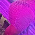  is Female Escorts. | Tampa | Florida | United States | AmorousHug