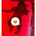  is Female Escorts. | Daytona | Florida | United States | AmorousHug