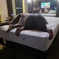  is Female Escorts. | Long Beach | California | United States | AmorousHug