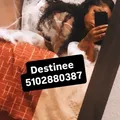  is Female Escorts. | Jersey Shore | New Jersey | United States | AmorousHug