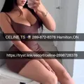 is Female Escorts. | Kitchener | Ontario | Canada | AmorousHug