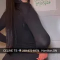  is Female Escorts. | Kitchener | Ontario | Canada | AmorousHug