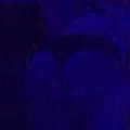  is Female Escorts. | Edmonton | Alberta | Canada | AmorousHug