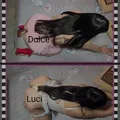  is Female Escorts. | Toronto | Ontario | Canada | AmorousHug