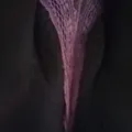  is Female Escorts. | Birmingham | Alabama | United States | AmorousHug
